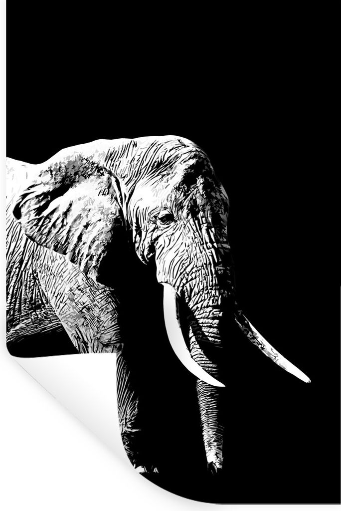 MuchoWow Wandtattoo Wandsticker Wandaufkleber Elefant vor schwarzem Hintergrund - schwarz und weiß 60x90 cm Selbstklebend und Repositionierbar -...