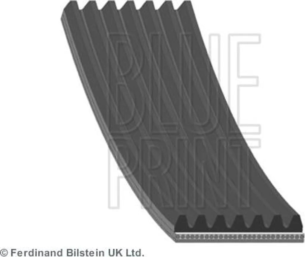 Cinghia Servizi 7PK1732 Blue Print per Nissan NP300 - Sostituzione OE
