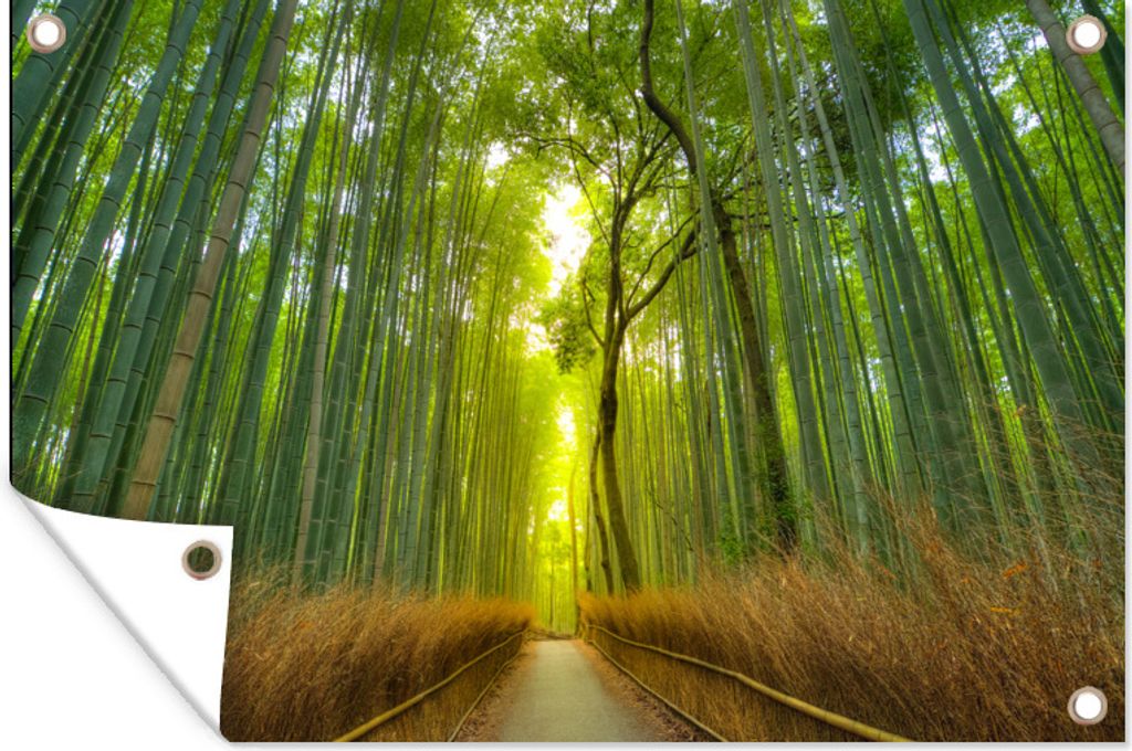 MuchoWow 60x40 cm Outdoor-Poster Gartendeko Sichtschutz Garten Poster für den Garten Pfad im Arashiyama-Bambuswald in Japan