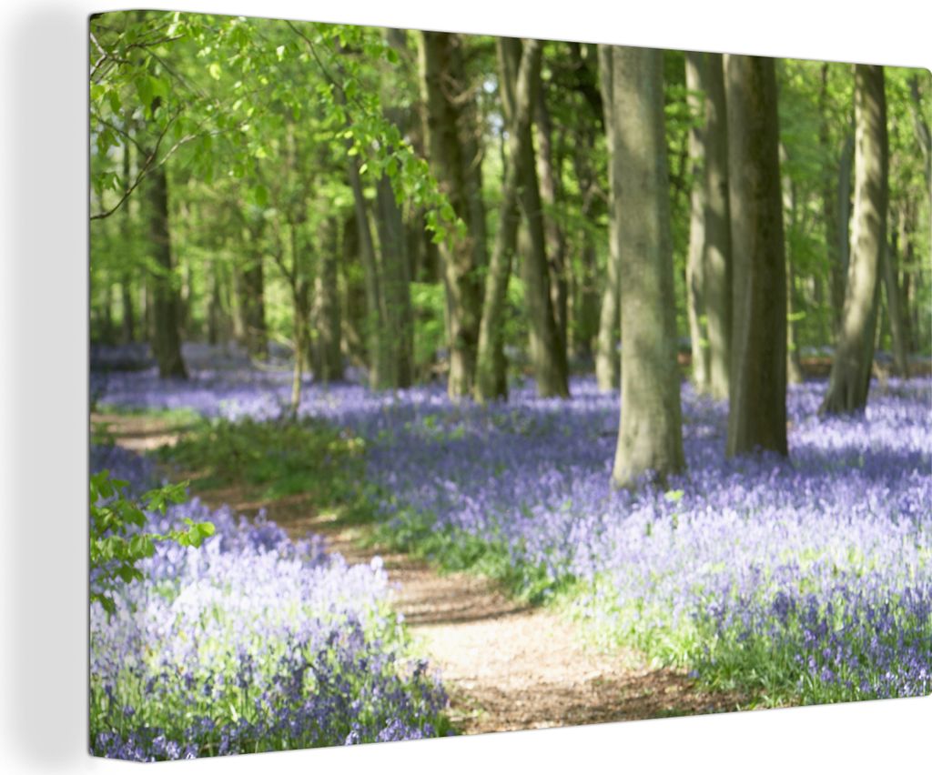 OneMillionCanvasses - Leinwandbilder - 150x100 cm, Wald - Weg - Blumen - Lila - Grün - Natur, Wandbilder Kunstdruck Wanddekoration - Foto auf Le...