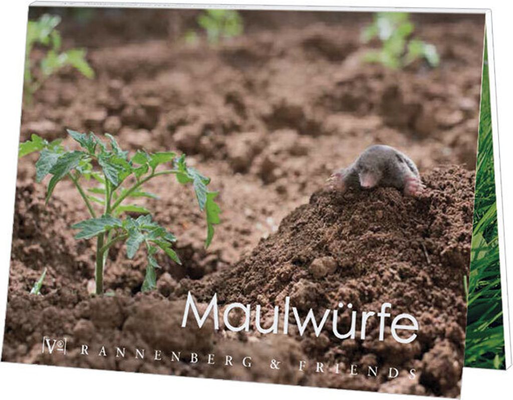 Postkartenbuch Maulwürfe, Postkartenbücher Ansichtskarte Postkarte Tier Maulwurf