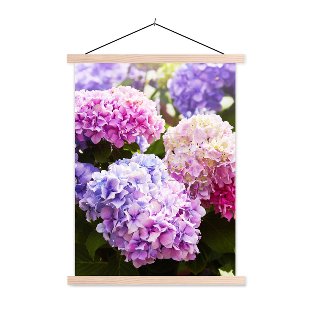 MuchoWow Textilposter Blumen - Hortensie - Rosa - Blätter - Sonne 40x53 cm mit holzfarbenen Rahmen - Schlafzimmer