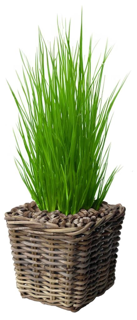 Pflanzen-/blumenkorb - quadrat - Rattan - Weide - L27 x B27 Produktbild 