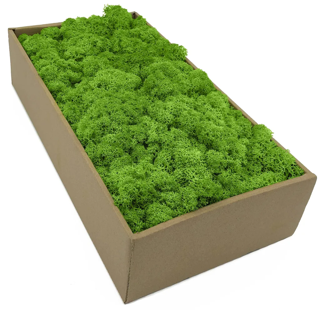 Mousse naturelle conservée vert herbe 250g souple pour maquette et DIY