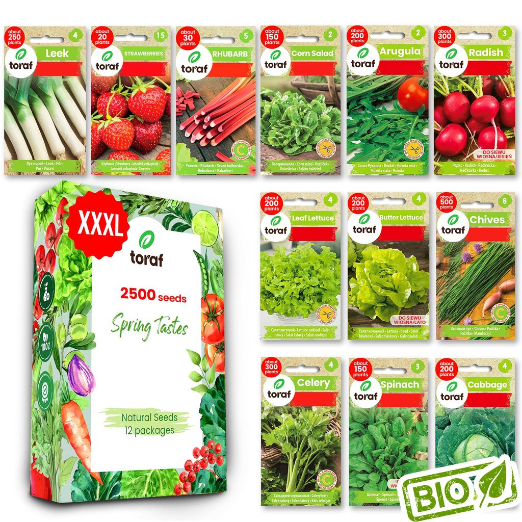 Toraf semená zeleniny XXL set 2500 semien 12 druhov šalát Obrázok produktu 
