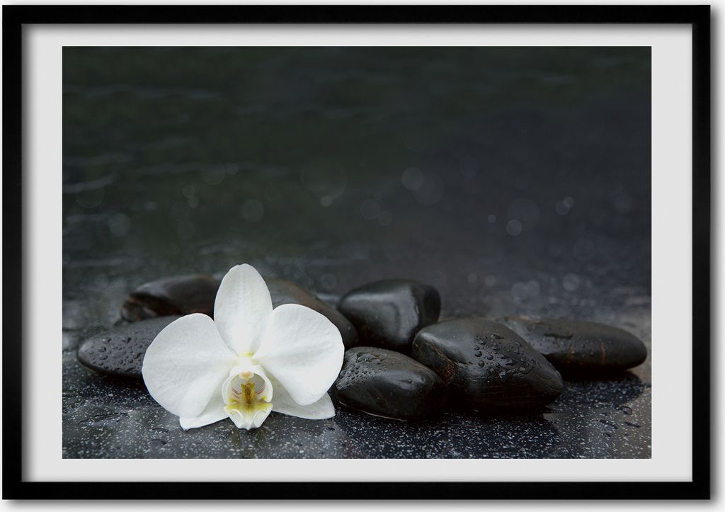 Bild - Bilder - Bilderrahmen - 70 cm x 50 cm - MDF-Rahmen, Wandkunst Orchidee
