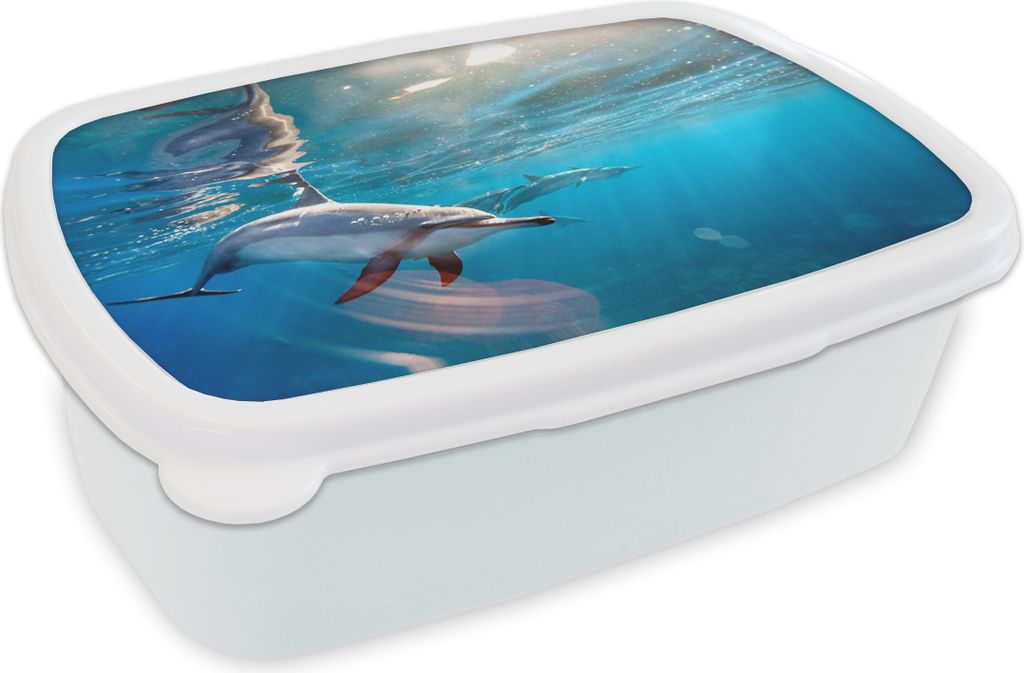 KitchenYeah Lunchbox Brotzeit Brotdose 17x11 cm Delphin - Sonne - Wasser Kinder Brotzeitdose - Lunch Box - Kinder - Sandwich-Box - Schulbox - Lun...
