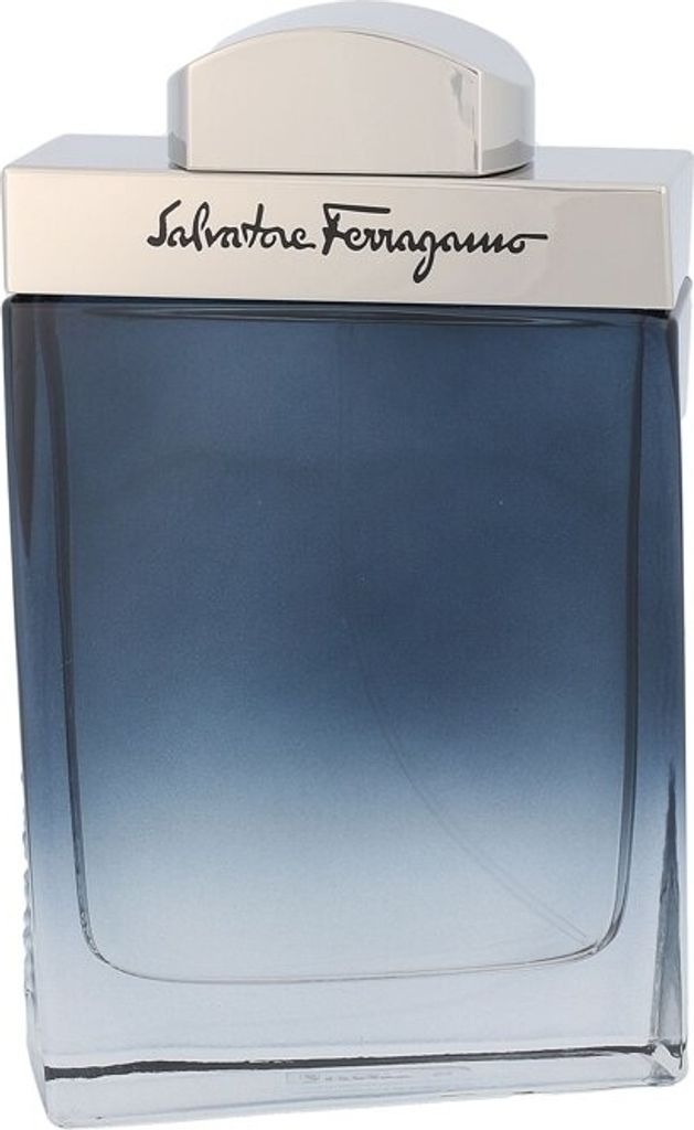 Salvatore Ferragamo Subtil pour Homme EDT 100 ml M
