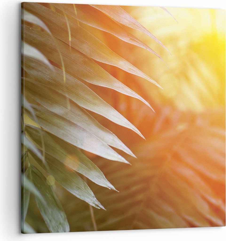 Bild auf Leinwand - Leinwandbild - Einteilig - Exotisch Blätter Dämmerung - 50x50cm - Wand Bild - Wanddeko - Wandbilder - Leinwanddruck - Bilder ...