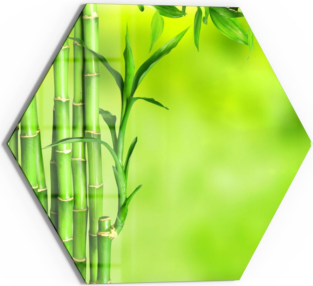 DEQORI Magnettafel Glas 55x48 cm 6-eckig 'Grüne Bambushalme' beschreibbar Whiteboard