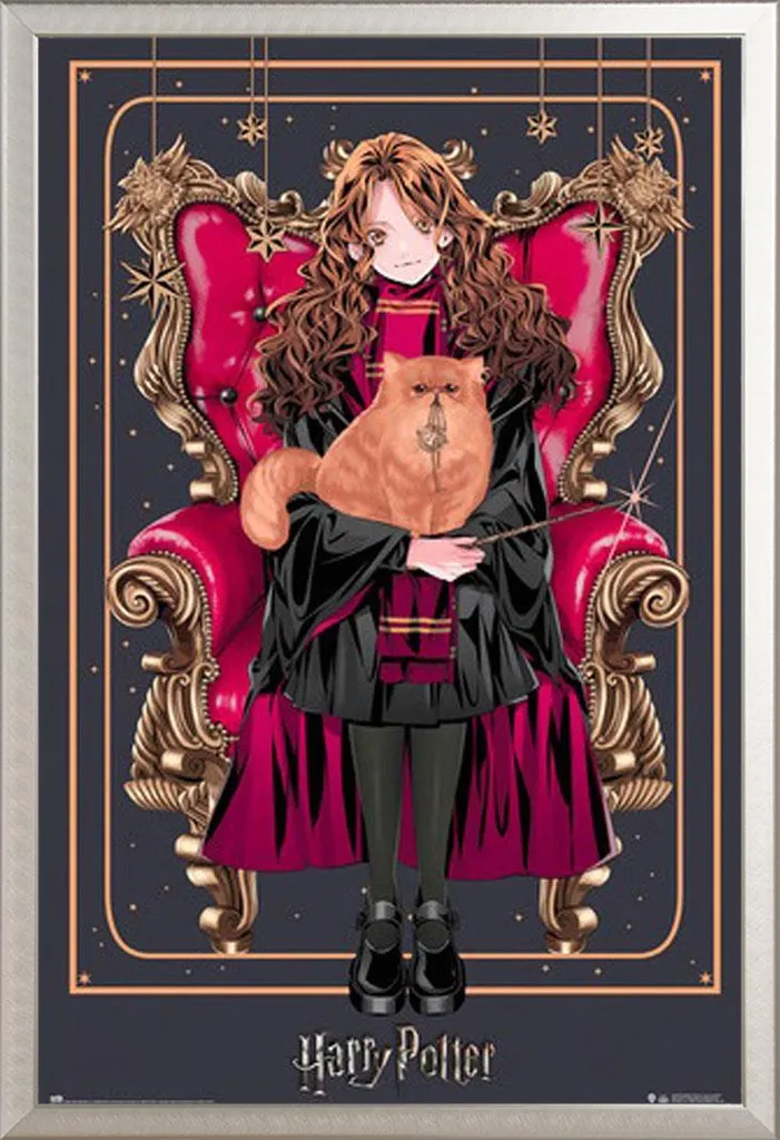 Cadre Aluminium Argenté Shinsuke avec Poster Harry Potter Hermione 61cm