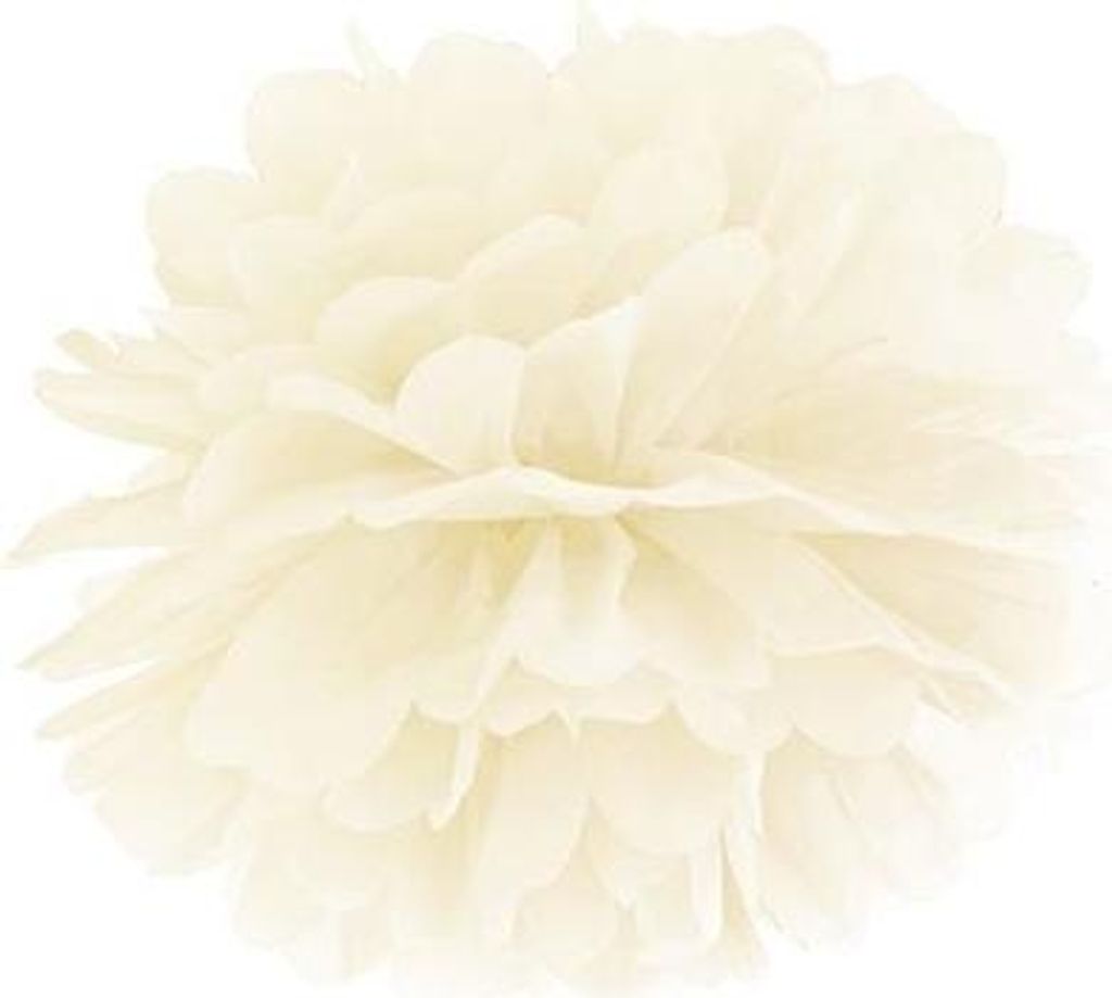 POMPOM DI CARTA 25 cm - CREMA Immagine del prodotto 