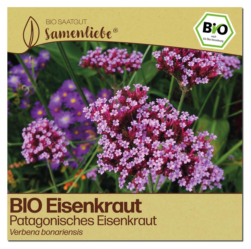 Samenliebe  Eisenkraut Samen | Patagonisches Eisenkraut - Produktbild 