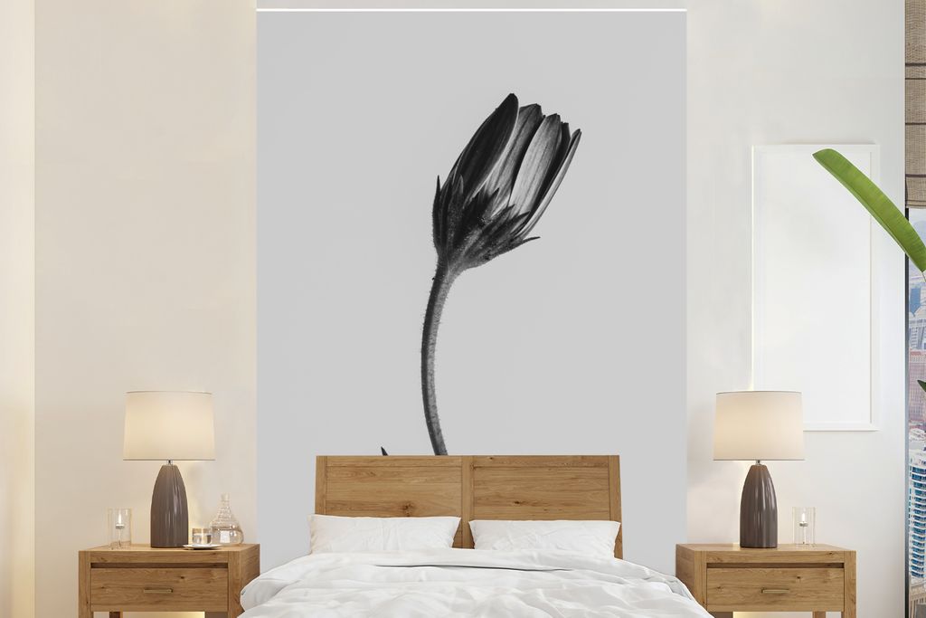 MuchoWow Fototapete für Wohnzimmer oder Schlafzimmer Wandtapete Vinyl Motivtapete Pflanze - Makro - Schwarz - Weiß - 145x220 cm - Wanddekoration