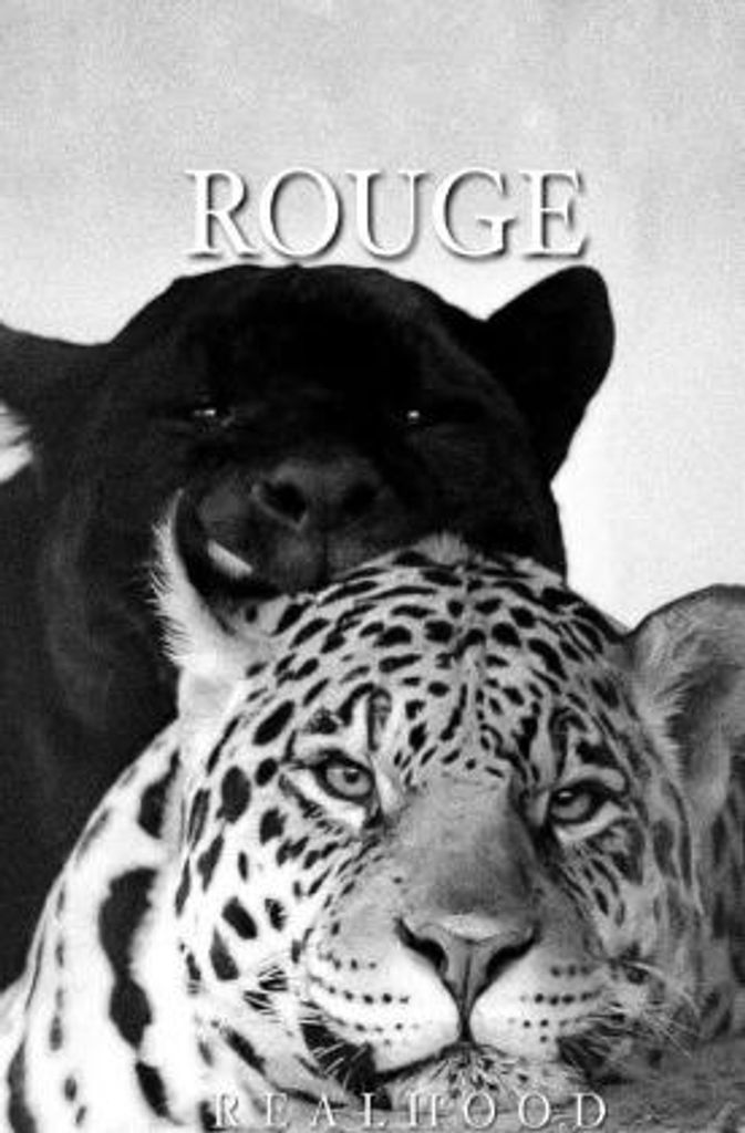 Rouge – Ein Kriminalroman über die Suche nach Gerechtigkeit und die Folgen der Rache