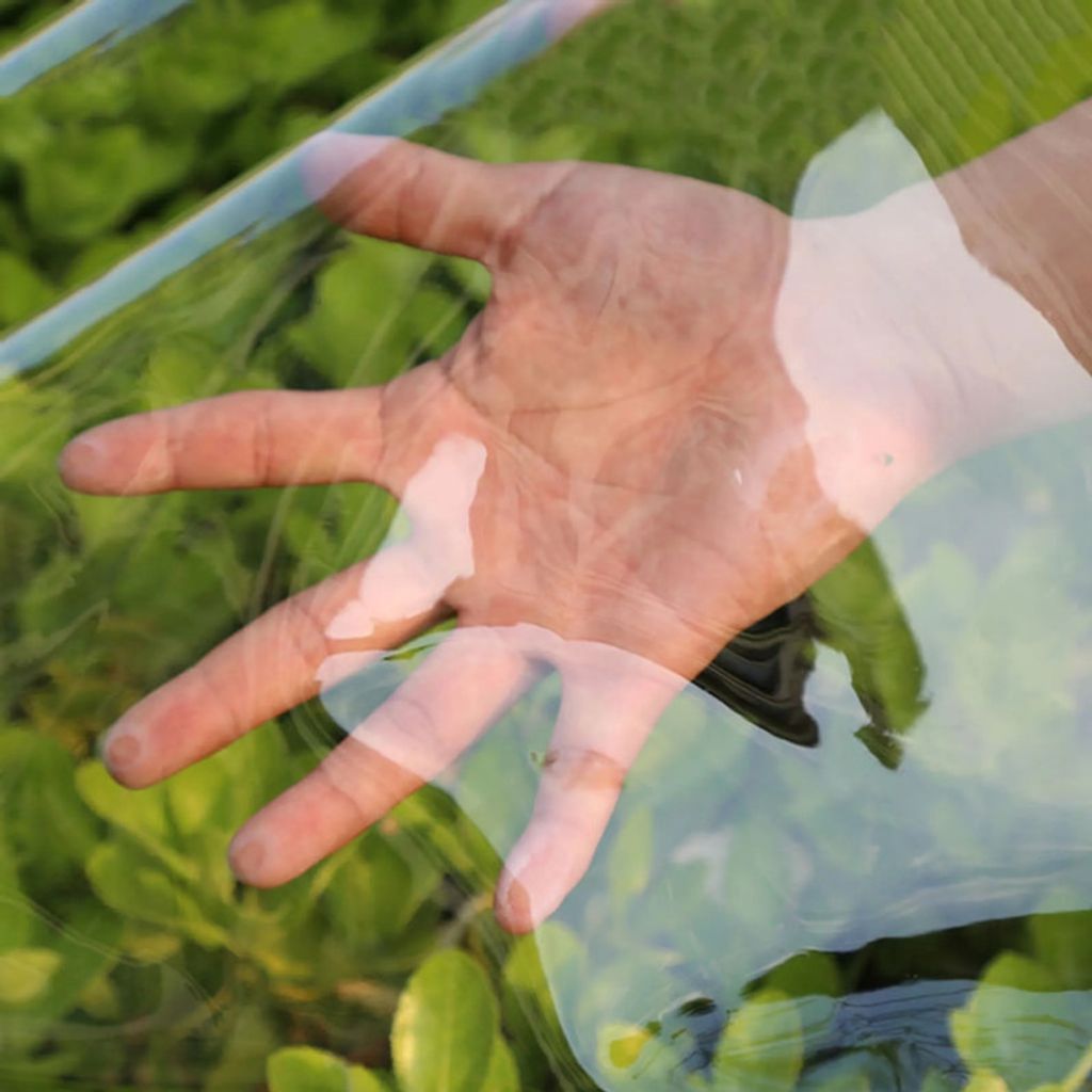 Gewächshaus Folie Transparente für Gartenmöbel Klare Plane Wasserdichte Mit Ösen