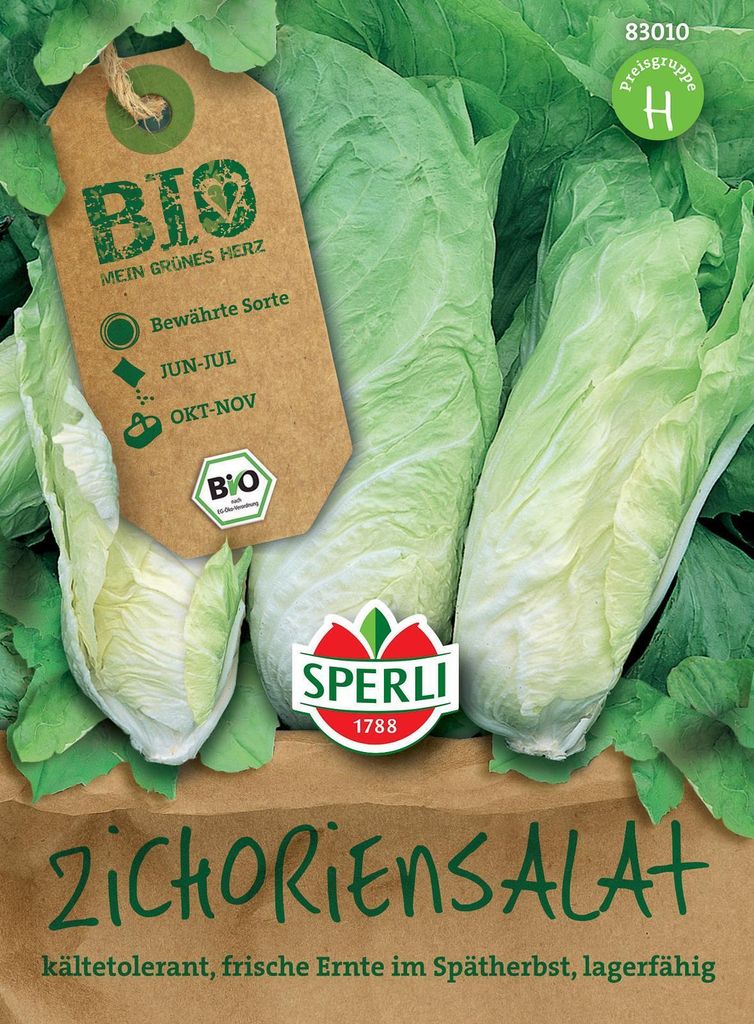 SPERLI Zichoriensalatsamen Zuckerhut Cichorium intybus 60 Pflanzen