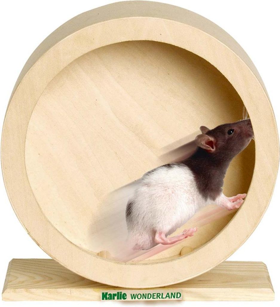 Karlie Roue en bois BOGIE WHEEL - 20 cm Image du produit 