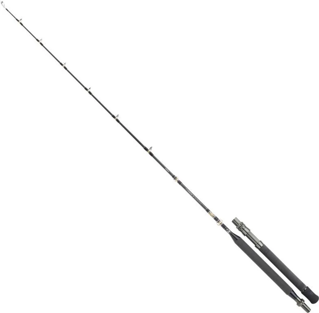 Canne à Pêche Trolling Shimano Tyrnos 130 Lbs pour Gros Poissons Mer
