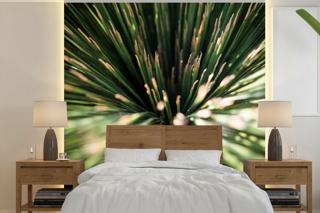MuchoWow Fototapete für Wohnzimmer oder Schlafzimmer Wandtapete Vinyl Motivtapete Kaktus - Abstrakt - Pflanze - 220x220 cm - Tapeten