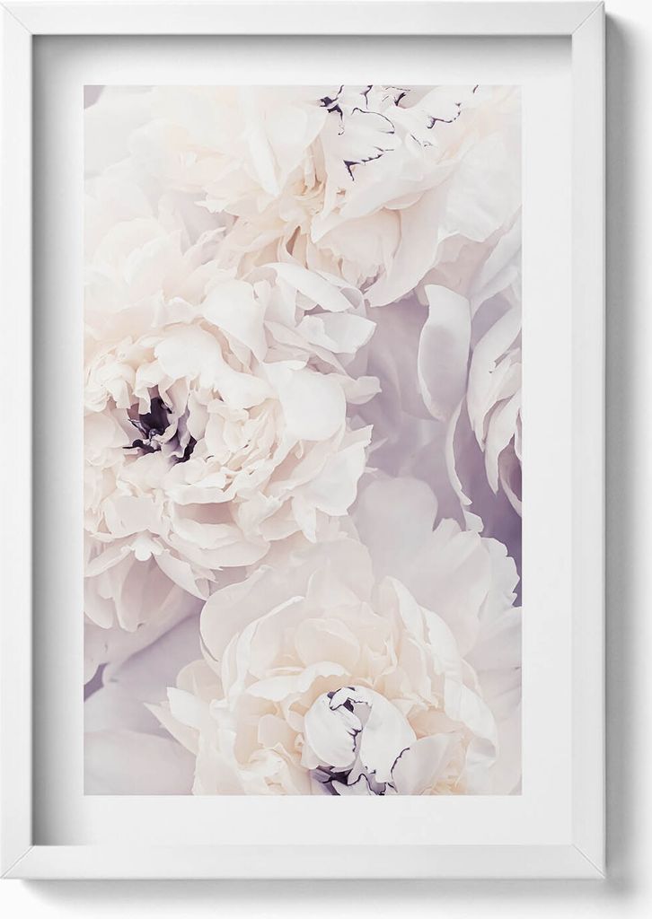 Zarte Pfingstrosenblüten– Wandbild mit Rahmen – Gerahmtes Bild – Wanddekoration – 40x60 cm – Weiß