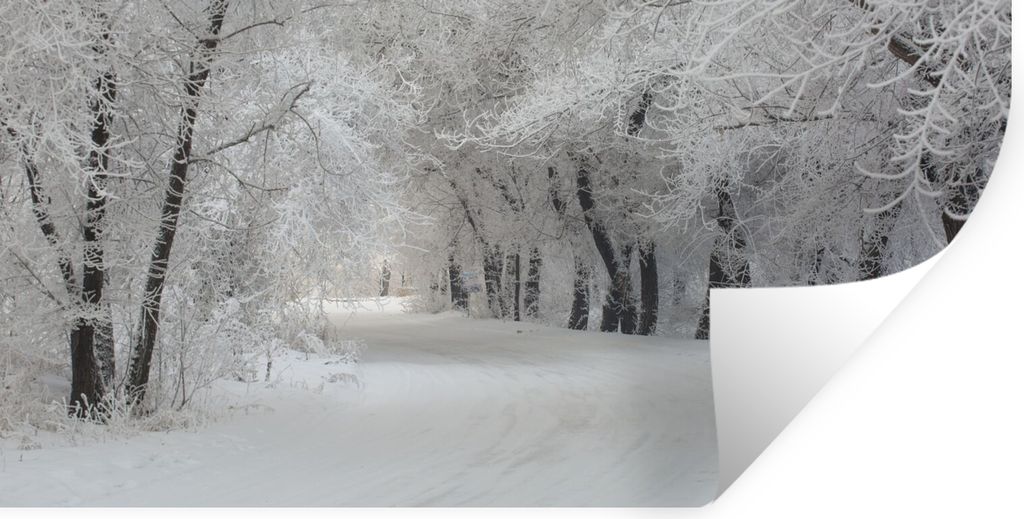 MuchoWow Wandtattoo Wandsticker Wandaufkleber Bäume - Schnee - Winter 40x20 cm Selbstklebend und Repositionierbar - Aufkleber