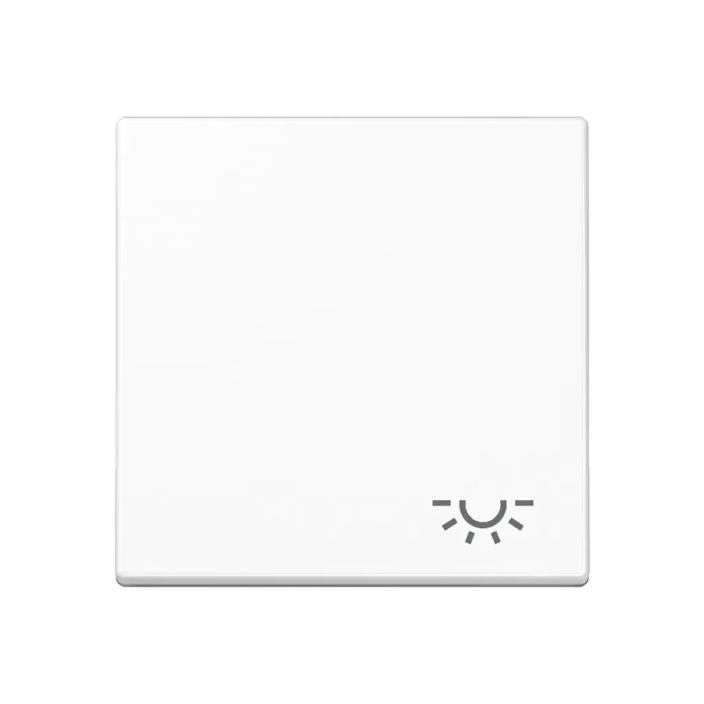 Symbole Marquage LIGHT Blanc Alpin A 590 L WW pour Touche Finition
