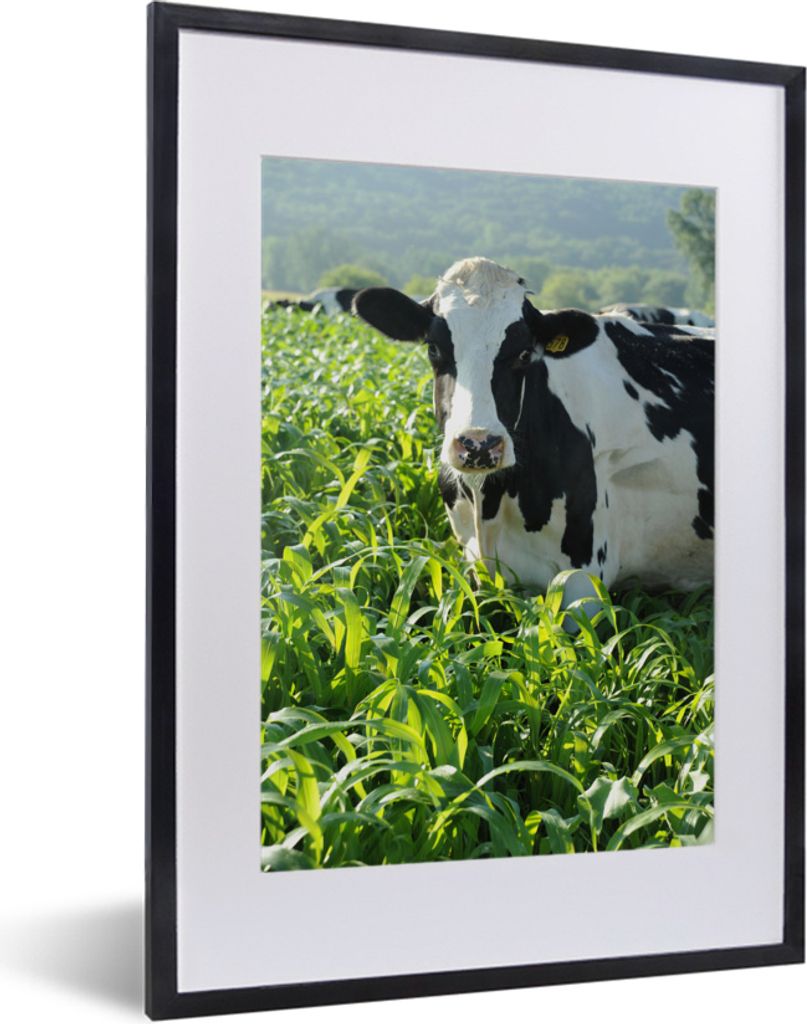 MuchoWow MuchoWow Gerahmtes Poster Kuh - Gras - Berg - Tiere 30x40 cm - Poster mit zchwarzem Bilderrahmen - Wandposter Schlafzimmer