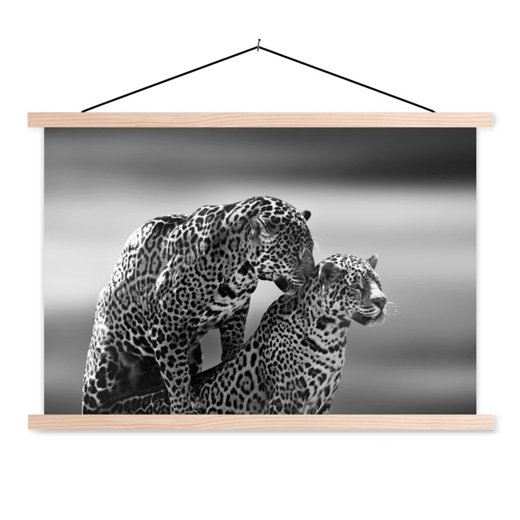 MuchoWow Textilposter Jaguar - Schwarz und Weiß - Natur 60x40 cm mit holzfarbenen Rahmen - Bilder