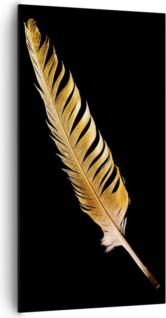 Bild auf Leinwand - Leinwandbild - Einteilig - Golden Feder Schwarz - 65x120cm - Wand Bild - Wanddeko - Wandbilder - Leinwanddruck - Bilder - Wandd...
