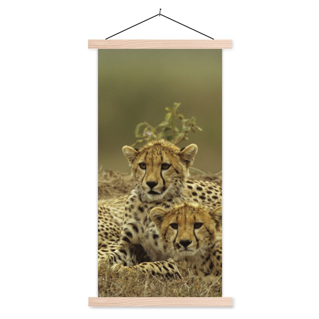 MuchoWow Textilposter Junge Gepardenjunge 40x80 cm mit holzfarbenen Rahmen - Wohnzimmer