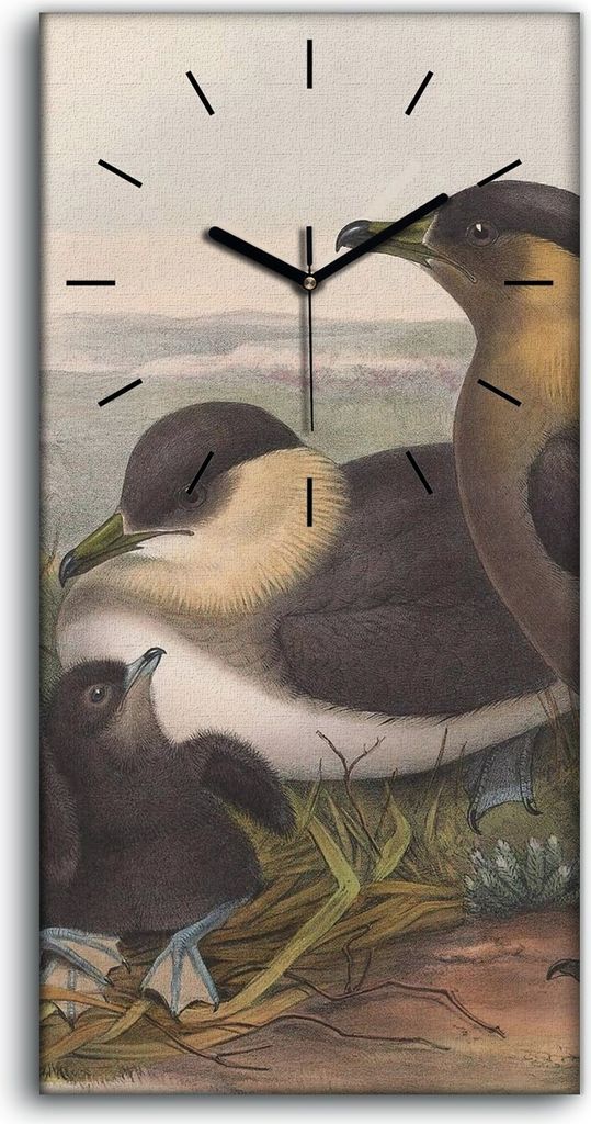 Küchenuhr Bürouhr Leinwand Uhr Quarz 30x60 Vögel Wild Tiere Zeichnung Kunst - schwarze Hände
