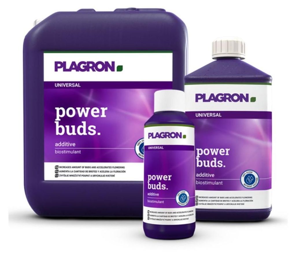 Plagron Power Buds 250ml - Verstärkt Blüte und Ertrag | Flasche (250 ml)