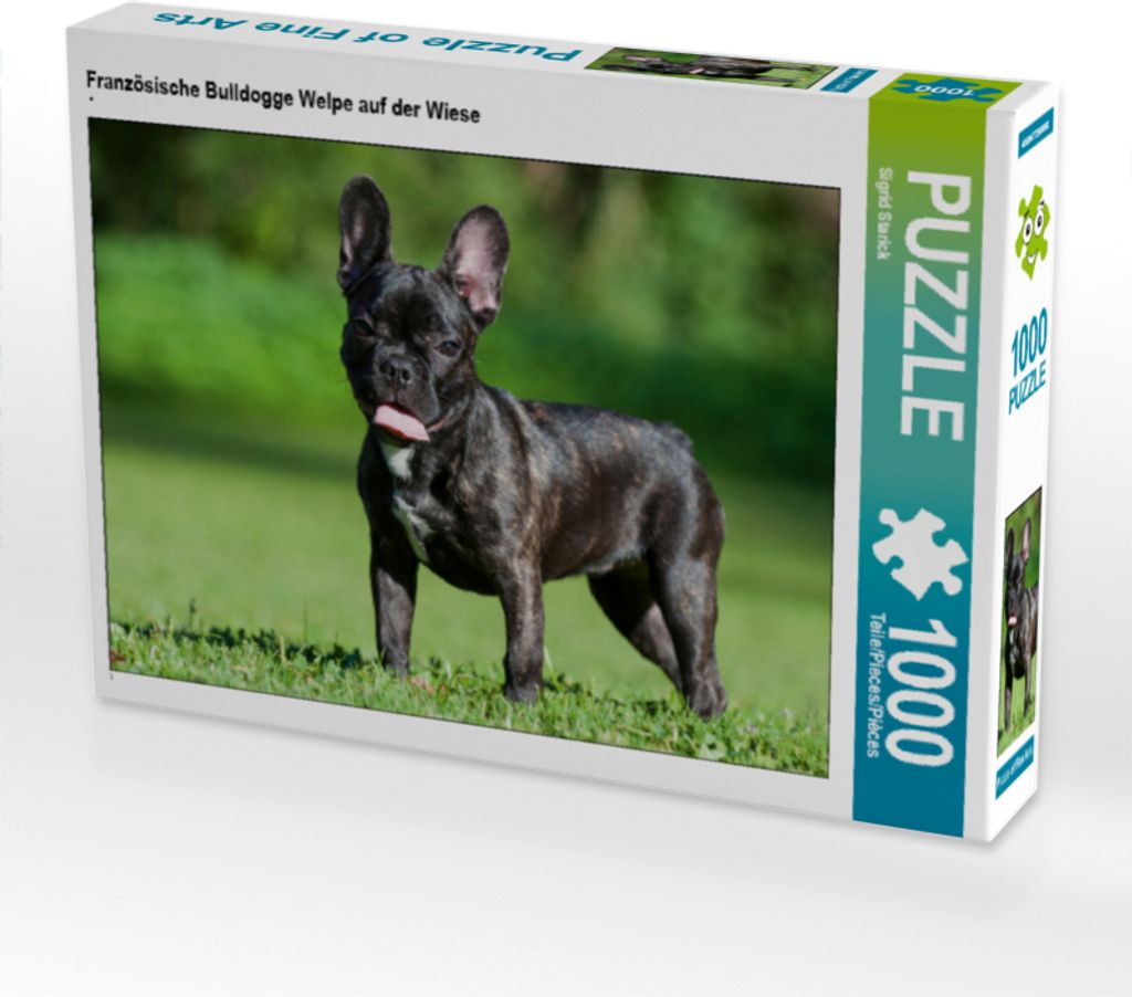 CALVENDO Puzzle Französische Bulldogge Welpe auf der Wiese | 1000 Teile Lege-Größe 64x48cm Foto-Puzzle für glückliche Stunden
