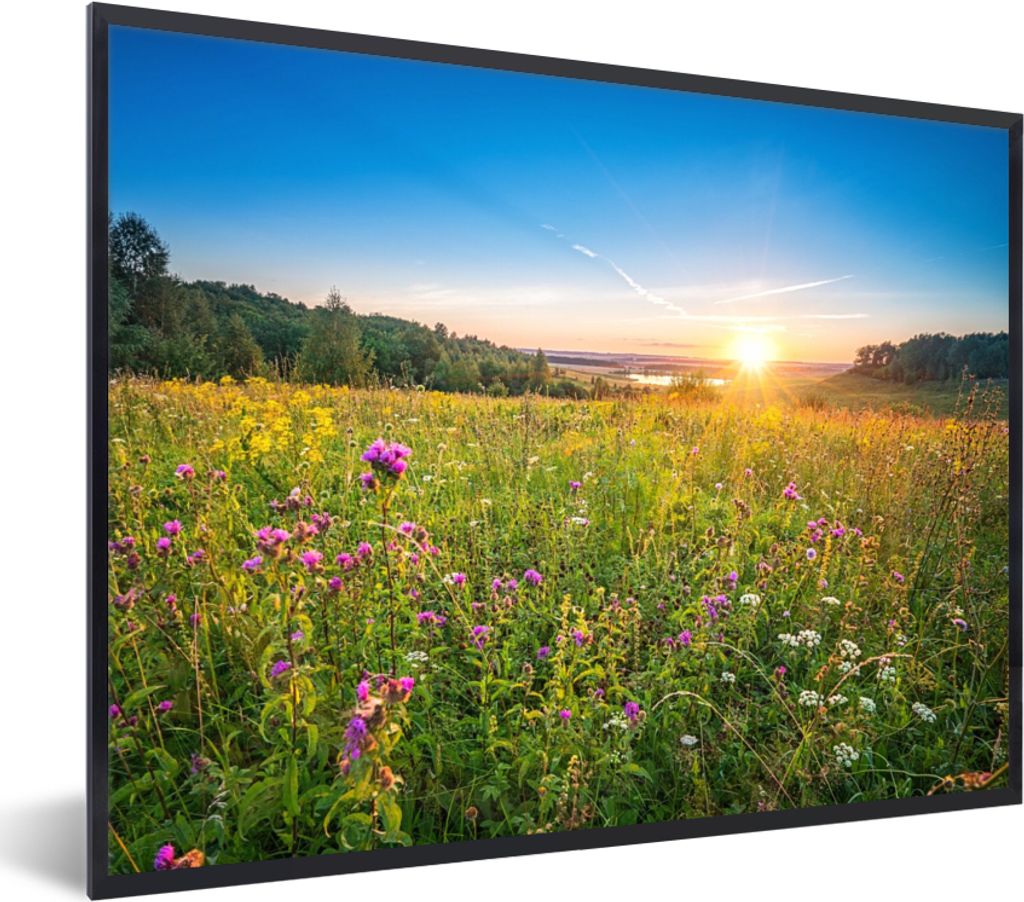 MuchoWow Gerahmtes Poster Sonne - Gras - Blumen 40x30 cm - Poster mit Schwarzem Bilderrahmen Wandposter Rahmen Foto Bilder - Kunstposter - Wandde...