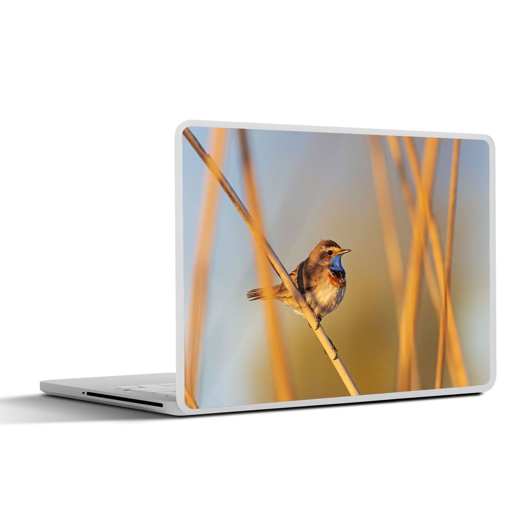 MuchoWow Laptop Aufkleber Sticker Cover Vögel - Blaukehlchen - Schilf 30x22 cm - Laptop-Sticker