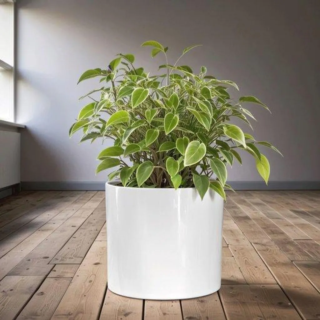 Lot de bacs à fleurs 30 cm blanc brillant style médiéval pour balcon