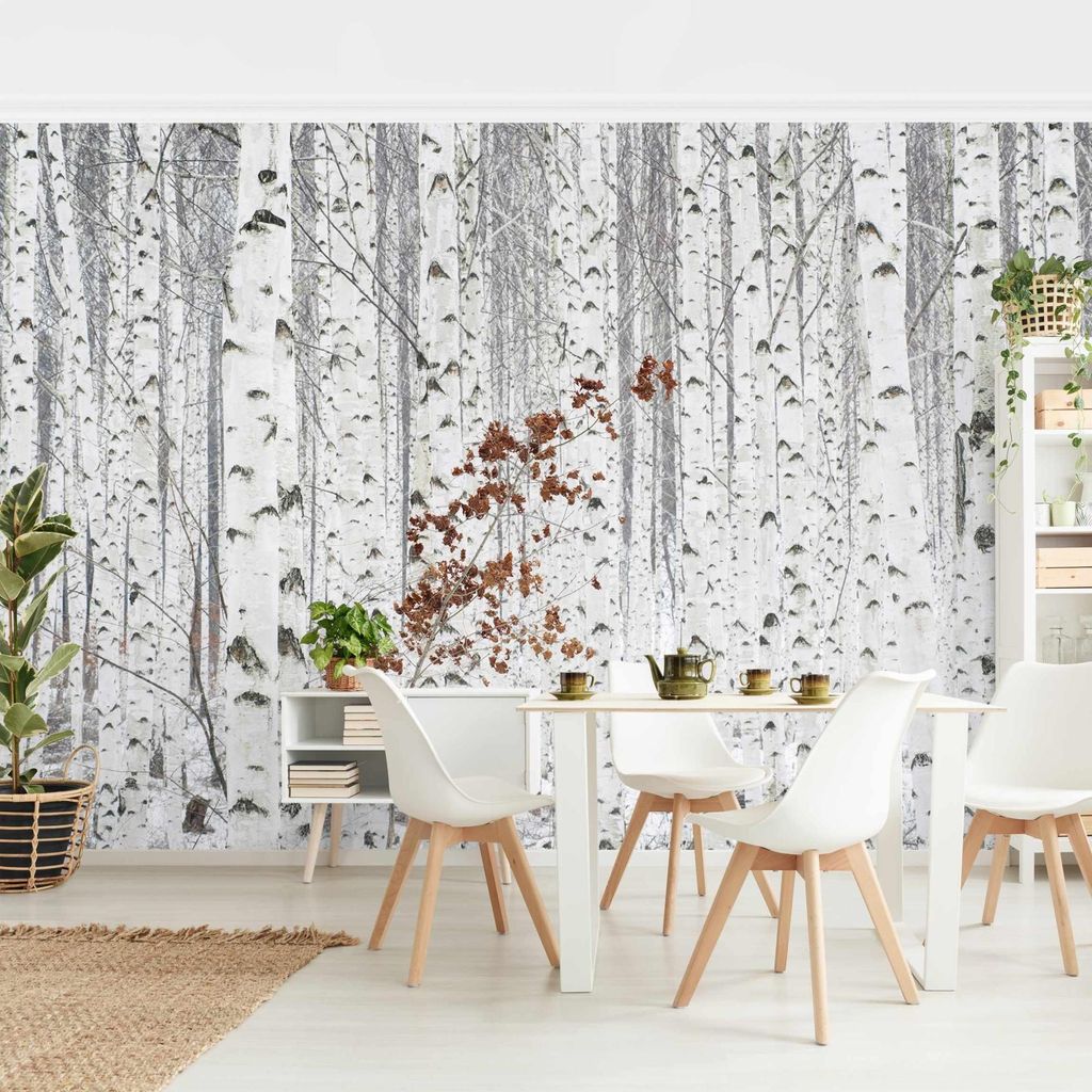 Fototapete Wald - Vliestapete - Bildtapete UV-beständig Wald weiss Landhaus Wandtapete geruchsfrei