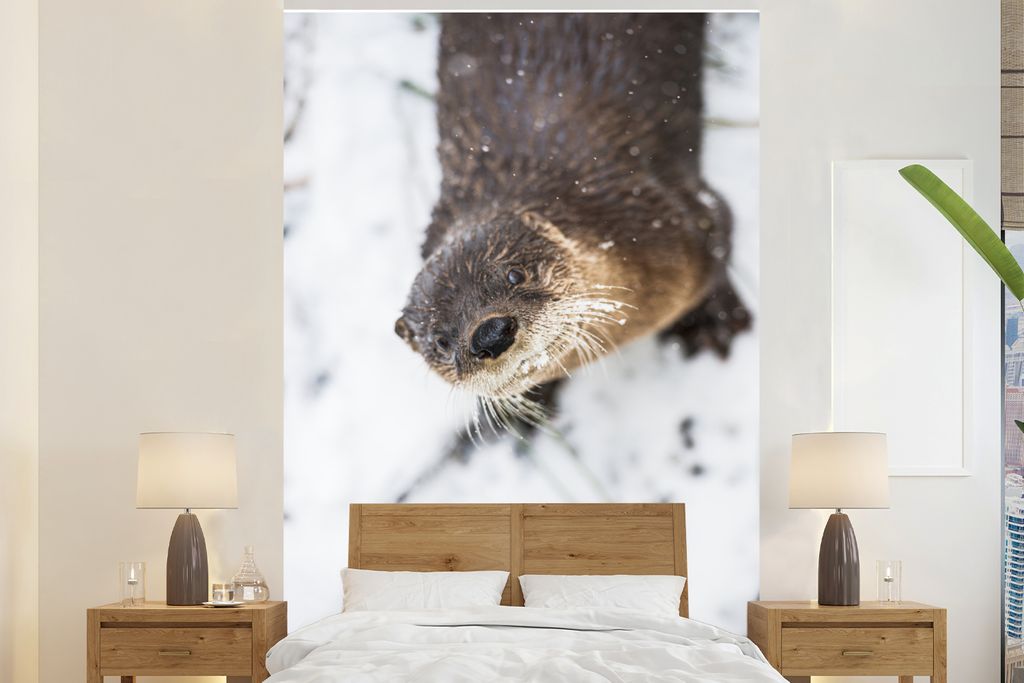 MuchoWow Fototapete für Wohnzimmer oder Schlafzimmer Wandtapete Vinyl Motivtapete Otter - Schnee - Tier - 195x300 cm - Das Hintergrundbild