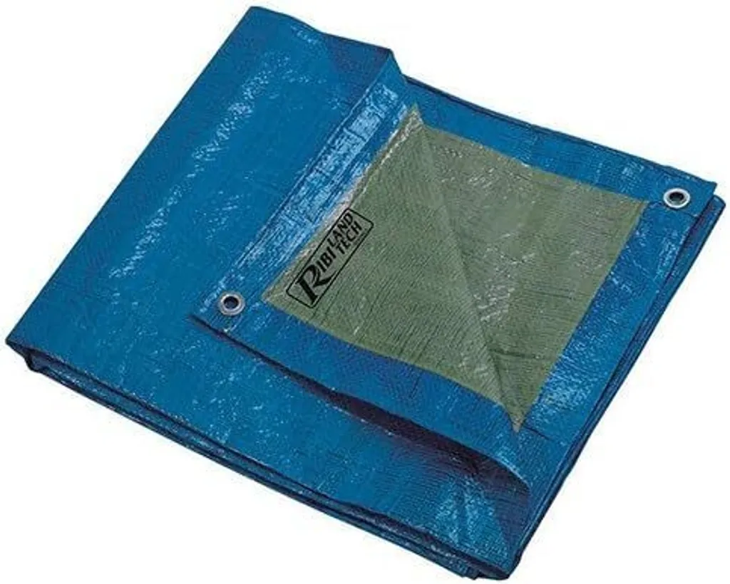 Offerta Telo Multiuso Ribimex 2x3m PRB06502X03 - Impermeabile 65g - 2
