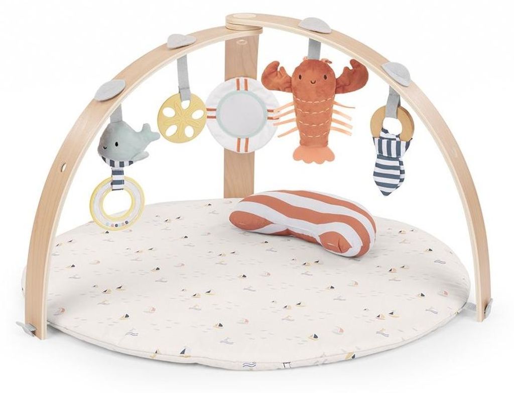 Ingenuity Babygym Spielmatte Cozy Spot Wende-Haven