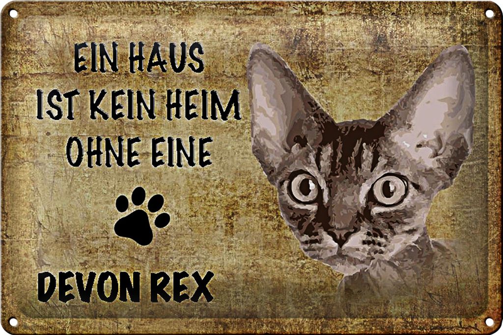Blechschild Spruch 30x20cm Devon Rex Katze ohne kein Heim