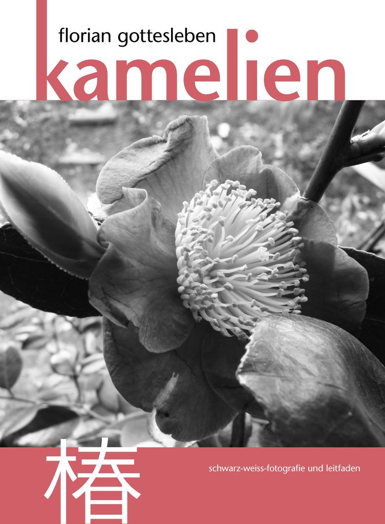 Kamelien