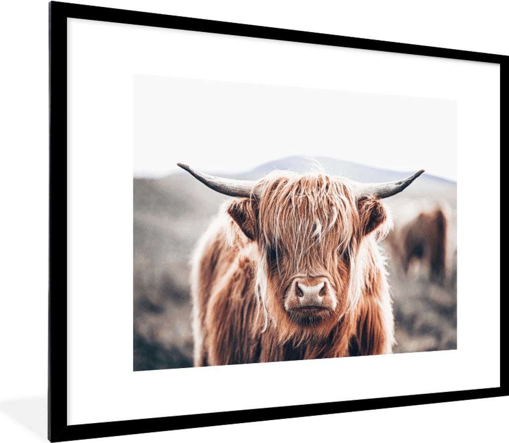 MuchoWow Gerahmtes Poster Schottischer Highlander - Berg - Hoorn 80x60 cm - Poster mit Schwarzem Bilderrahmen Wandposter Rahmen Foto Bilder - Sch...