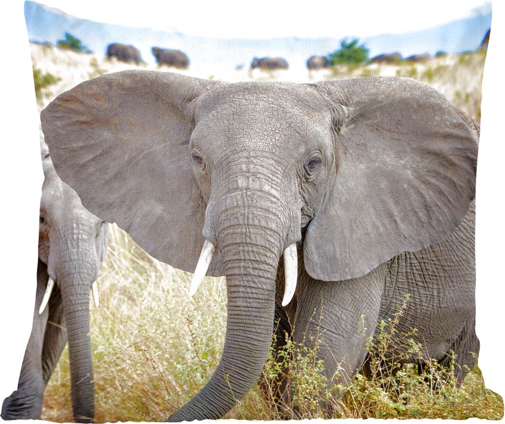 MuchoWow Zierkissen Sofakissen Wohnzimmer Dekokissen 45x45 cm Elefant - Tiere - Gras - Natur - Schlafpolster - Polster für das Sofa