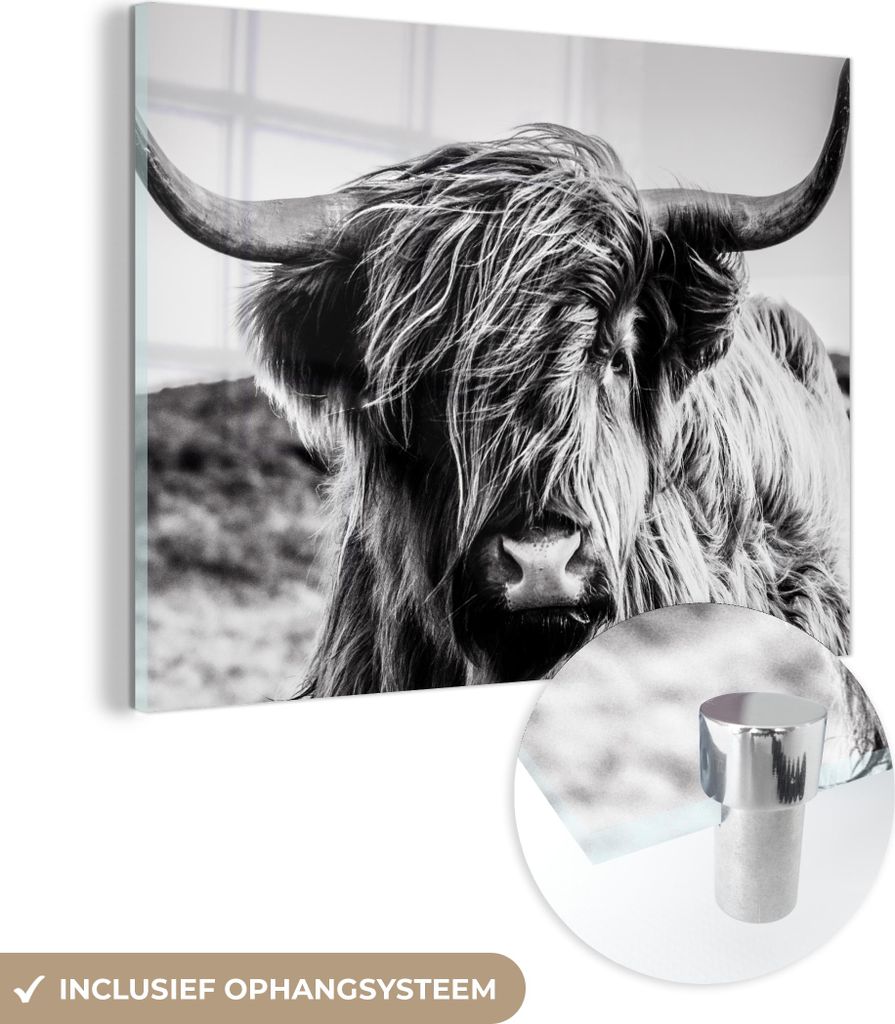 MuchoWow Glasbilder - Bilder auf Wandbild - Foto auf Glas Kuh - Schottisches Hochlandrind - Schwarz - Weiß - Tier - Natur - Wildtiere 40x30 cm Wan...