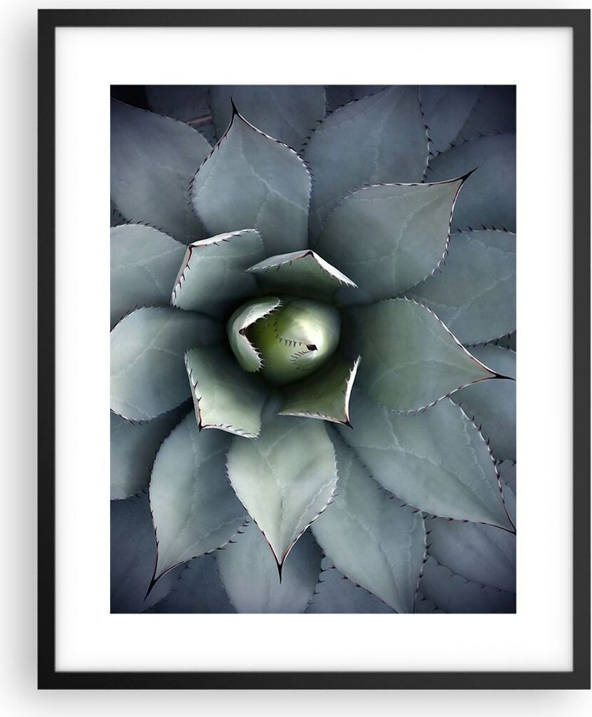 Gerahmtes Poster - Schwarzer Rahmen - Blau Blätter Agave - 40x50 cm - Wand Bild - Wanddeko - Wandbilder - Kunstposter - Wandposter - Bilderrahmen ...