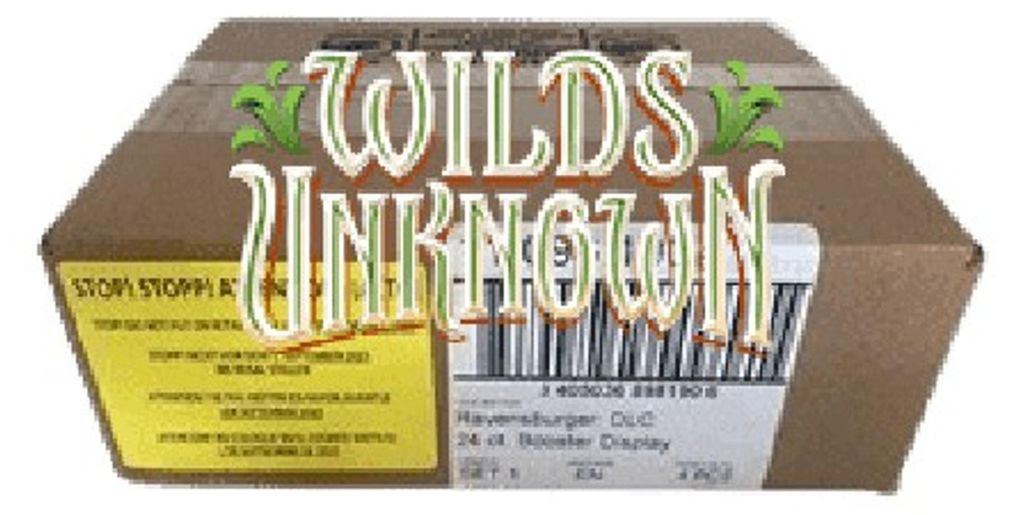 Lorcana Wilds Unknown 4 Booster Box Case Produktbild 