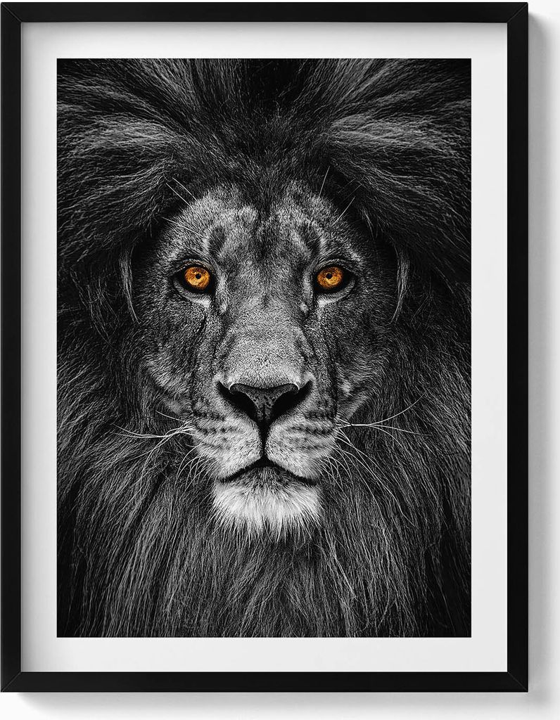 Schwarzer und weißer Löwenkopf– Wandbild mit Rahmen – Gerahmtes Bild – Wanddekoration – 60x80 cm – Schwarz Rahmen