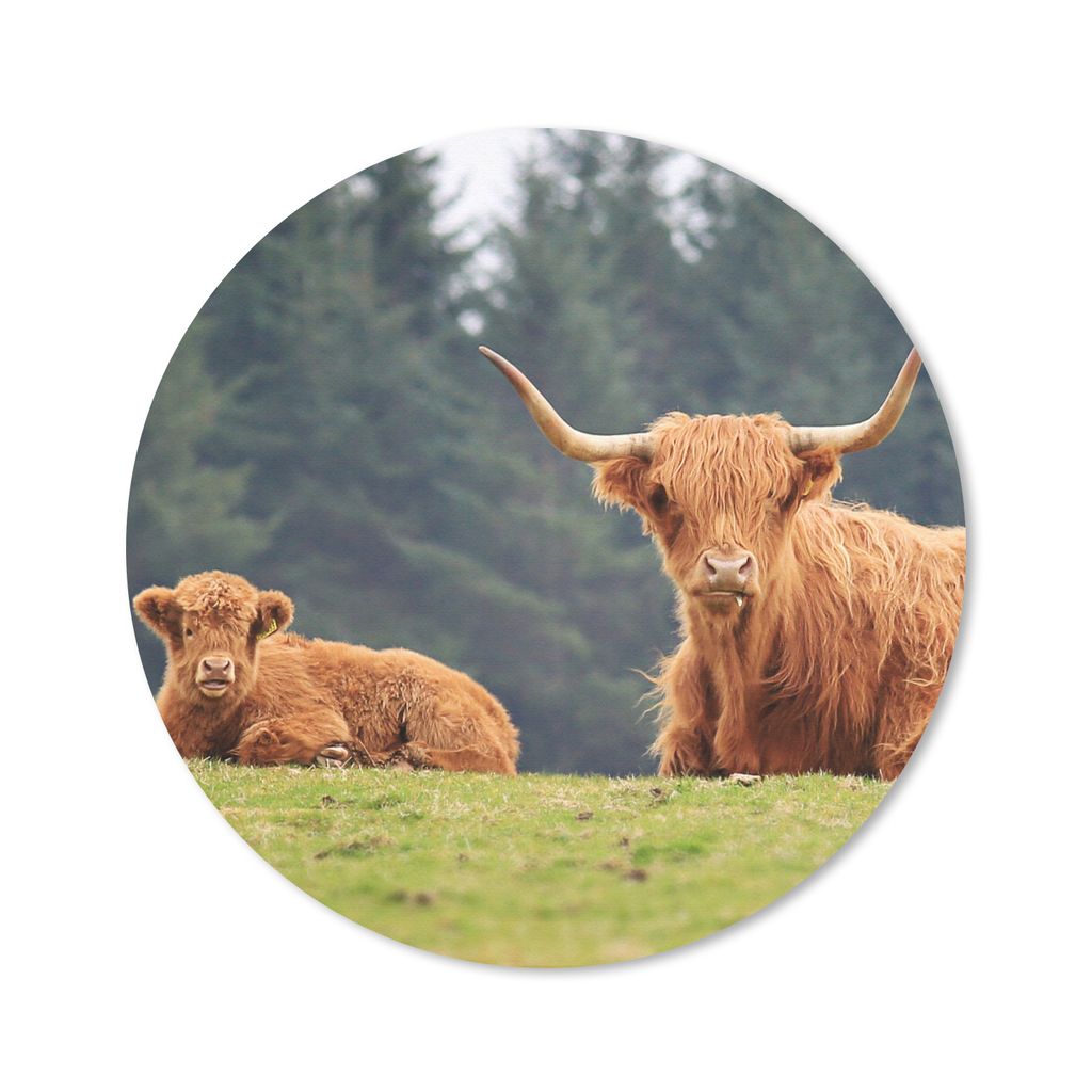 MuchoWow Mauspad Mousepad Schottische Highlander - Gras - Wald 50x50 cm - Mousepads - Maus Mat - Pad - Mausunterlage - Vinyl